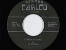Funk 45 - Dayton Sidewinders - Funky In Here - Carlco