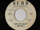 Deep Soul Funk 45 - Ted Ford - I Can't Give You Up - Budd - promo