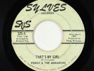Northern Soul 45 - Porgy & The Monarchs - That's My Girl - Sylves