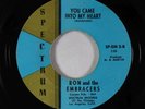 Northern Soul 45 - Ron & the Embracers - You Came Into My Heart - Spectrum