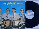 Buddy Holly The 