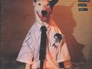 Rick Springfield Working Class Dog LP Signed PSA VG+/VG