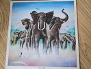 Elvis Costello And The Attractions  Armed Forces  Radar UK 1979 Strawberry Press