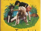 THE SLITS TYPICAL GIRLS VINYL 7” SINGLE ISLAND UK 1979 1U/1U MATRIX PRO CLEANED