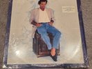 Julio Iglesias – Starry Night 1990 Vinyl LP Record Europop Ballad CBS New Sealed