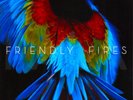 Friendly Fires - Pala (Used LP)