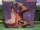 The Roches We Three Kings Vinyl Record LP MCA-10020 Christmas