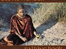 Stevie Wonder Talking Book (Vinyl) 12