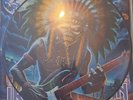 IRON MAIDEN : ROCK IN RIO 2013  Vinyl LP PICTURE DISC Record Album