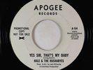 Beach Boys 45 - Hale & the Hushabyes - Yes Sir, That's My Baby - Apogee VG++
