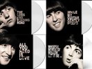 The Beatles Vinyl Collection On Clear Vinyl. Volumes 1-4. Limited Edition.