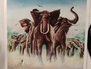 Elvis Costello And The Attractions* – Armed Forces   w/ 7