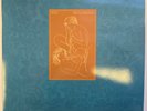 XTC Skylarking LP Album vinyl record 200gram reissue	on Ape House 2018