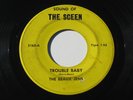 BEAUX JENS Trouble Baby/She Was Mine 7” 45 1967 Sound Of Sceen, Michigan garage