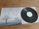 Walking on Cars - Everything This Way 2016 1st Virgin V 3143 Alternative Rock LP