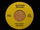 The Chats Punk Rock KBD 45 Cant Be Real bw Do The Pogo on Jupiter