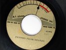 EL SIERROS Doo Wop ACETATE 45rpm Pennies From Heaven bw When I Fall In Love HEAR