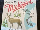 Sufjan Stevens- Michigan (University of Michigan/Michigan State AKR) Vinyl NEW