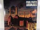 Pink Floyd 