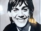 Iggy Pop Lust For Life LP Album Vinyl Record Remastered Reissue on Virgin 2017