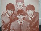 The Beatles Rare Vinyl LP [File Under Beatles]