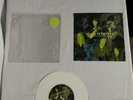 Alice In Chains Heaven Beside You 7” Vinyl
