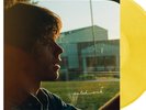 JESSE WELLES PATCHWORK COLOR VINYL LP RECORD NEW SEALED MINT
