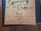 Counting Crows – August And Everything After GEF 24528 Europe 1993 Vinyl NM