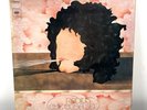 ALBERTO RADIUS - CHE COSA SEI - LP Italy 1976 GATEFOLD CBS 81476 - NM/NM