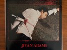 Ryan Adams Rock N Roll Vinyl Murder Cover