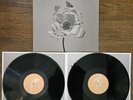 The Naked and Famous - In Rolling Waves Vinyl 2xLP 2013 Original