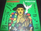 Noiseworks – Evolution LP Vinyl Record - New