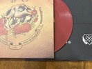 The Story So Far & Stick To Your Guns Split EP 7 Inch Red Vinyl Record /300