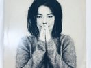 Björk - Debut LP Vinyl Record Album - 90s Alternative Icelandic Pop Music TPLP31