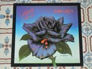THIN LIZZY - Black Rose (A Rock Legend) LP HOLLAND 1979 Vertigo NM/EX