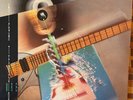 STEVE MORSE - Promo LP - High Tension Wires - Deep Purple -Dixie Dregs