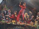 The Warning Picture Vinyl