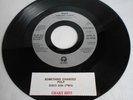 Pulp Something Changed / Disco 2000  7