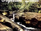 Orquesta Exodo – Desde El Comienzo