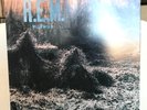 Cleaned & Tested:  R.E.M. - Murmur - 1983 Alternative Rock LP