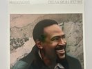 Marvin Gaye - Dream Of A Lifetime Vinyl Record 180G Blue Limited /2000
