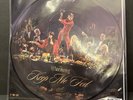The Warning - Limited Edition Keep Me Fed Picture Disc LP Vinyl - US Seller
