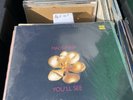 MADONNA YOU'LL SEE 12'' VINYL US LP MAXI RECORD Live To Tell / Veras 1995