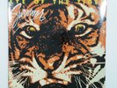 SURVIVOR Eye Of The Tiger FZ38062 LP Vinyl SEALED 1982 Theme from Rocky III