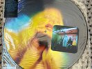 Wolf Alice Blue Weekend Picture Disc 12
