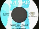SOUL SUSPENSION What Am I To Do 45 Julmar Rare NYC Sweet Soul M-