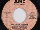 Northern Soul 45 MORRIS CHESTNUT Too Darn Soulful AMY promo HEAR d