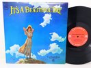 It's A Beautiful Day Self Titled LP Record 1969 Columbia Rock 33 RPM CS 9768