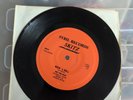 Skitz Sybil Records 45 Private Press Rare Led Zeppelin Cover Song