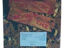 New 2024 Reissue AC/DC TNT T.N.T. Vinyl LP Record Aussie Blue Roo Misprint Cover